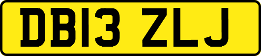 DB13ZLJ