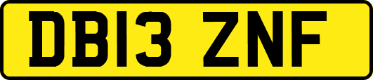 DB13ZNF
