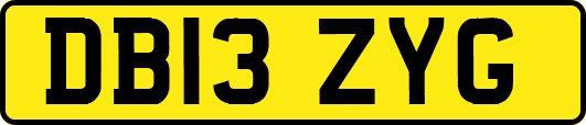 DB13ZYG