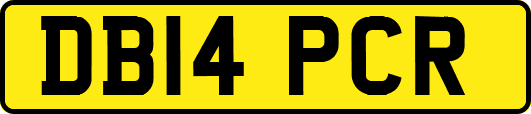 DB14PCR