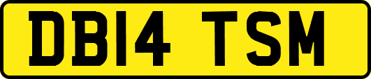 DB14TSM