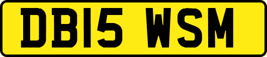 DB15WSM