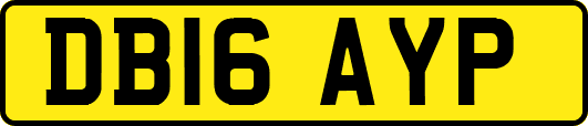 DB16AYP