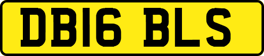 DB16BLS