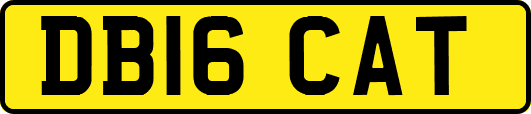 DB16CAT