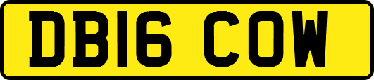 DB16COW
