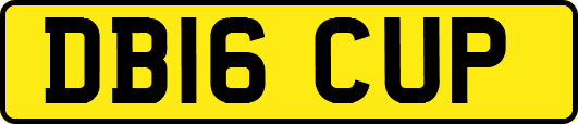 DB16CUP