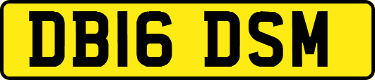 DB16DSM