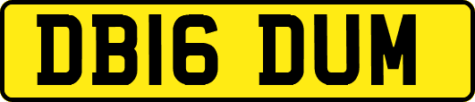 DB16DUM