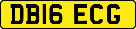 DB16ECG