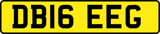 DB16EEG