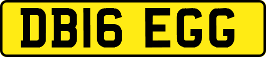 DB16EGG