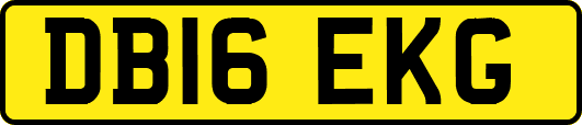 DB16EKG