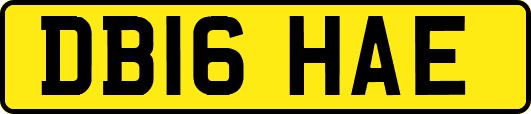 DB16HAE