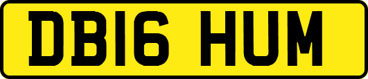 DB16HUM