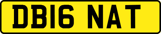 DB16NAT