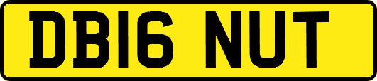 DB16NUT