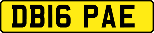 DB16PAE