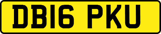DB16PKU