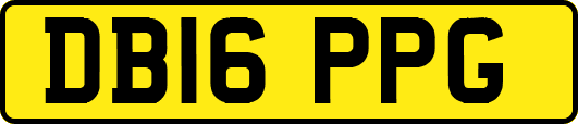 DB16PPG