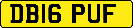 DB16PUF