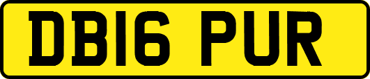 DB16PUR
