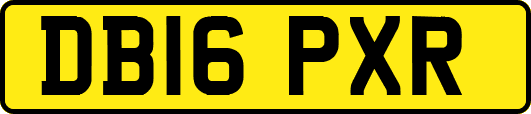 DB16PXR