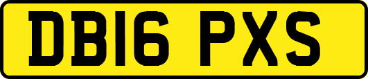 DB16PXS