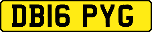 DB16PYG