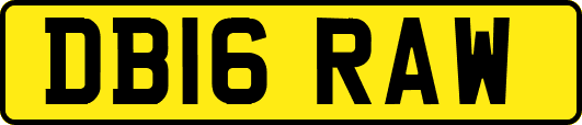 DB16RAW