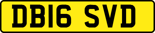 DB16SVD