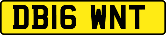 DB16WNT