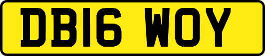 DB16WOY