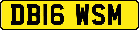 DB16WSM