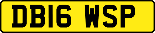 DB16WSP