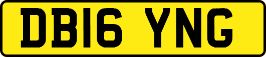 DB16YNG