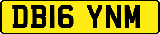 DB16YNM