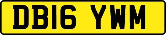DB16YWM