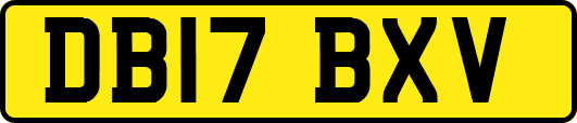 DB17BXV