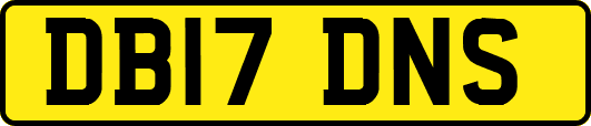 DB17DNS