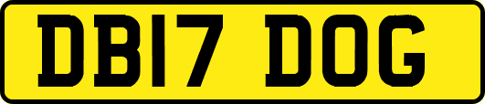 DB17DOG