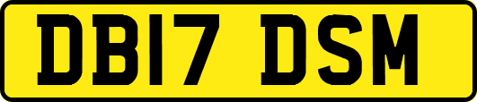 DB17DSM