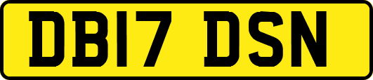 DB17DSN