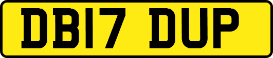 DB17DUP