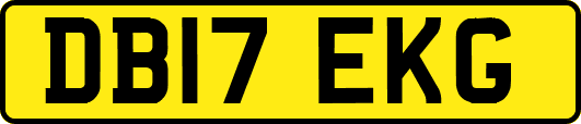 DB17EKG
