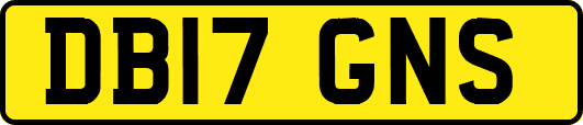 DB17GNS