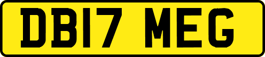 DB17MEG