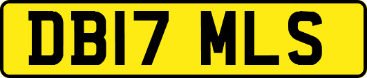 DB17MLS