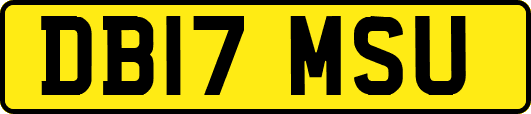 DB17MSU