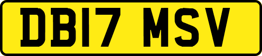DB17MSV
